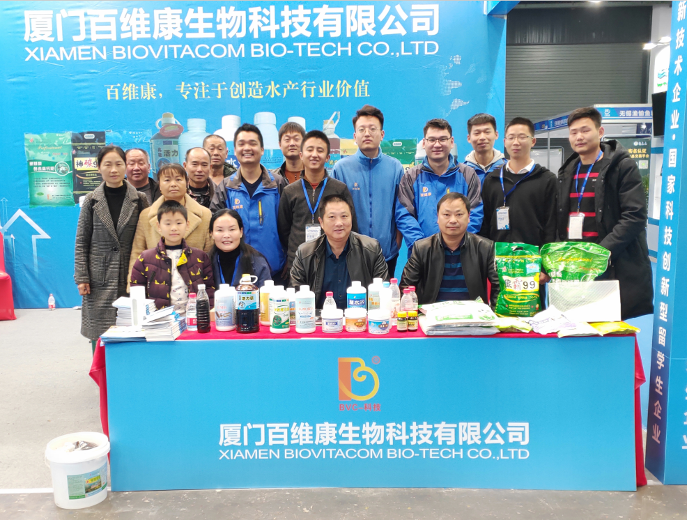 1543308430240627.png 6.png