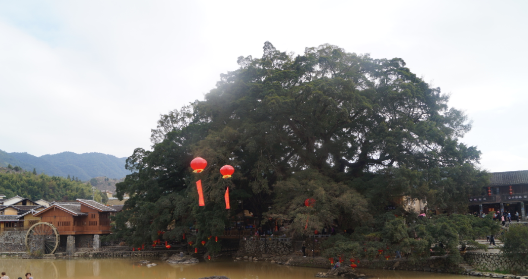 1579320748490837.png 63.png